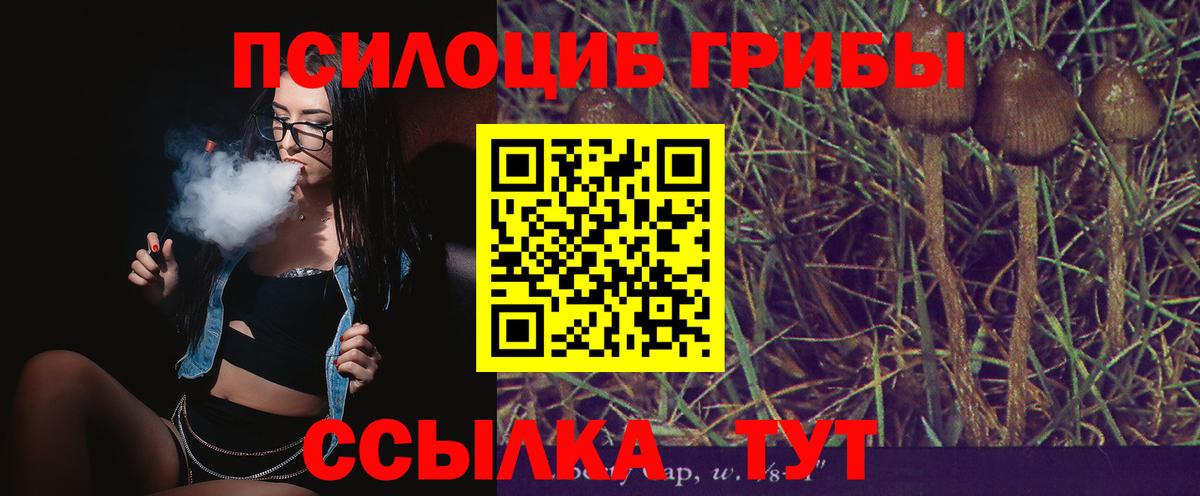Псилоцибиновые грибы прущие грибы Сарапул